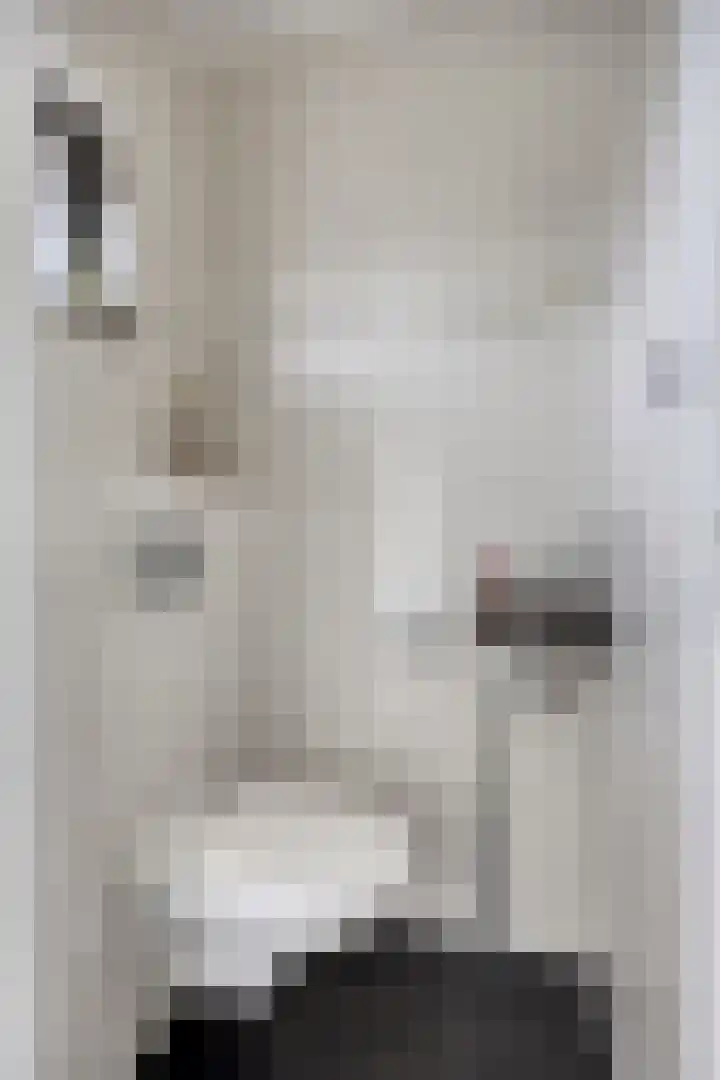 Rietvink 30 Wervershoof thumbnail 39