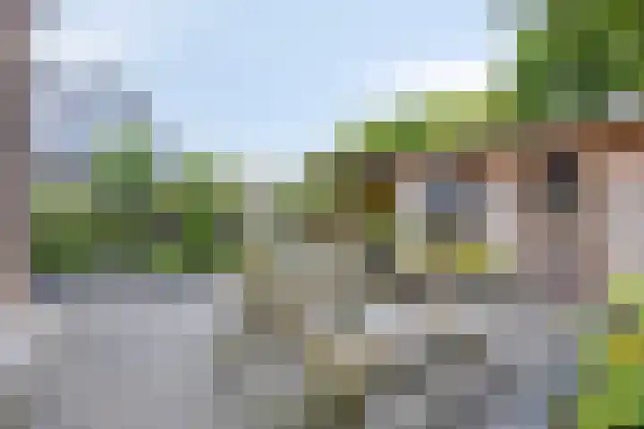 Rietvink 30 Wervershoof thumbnail 4