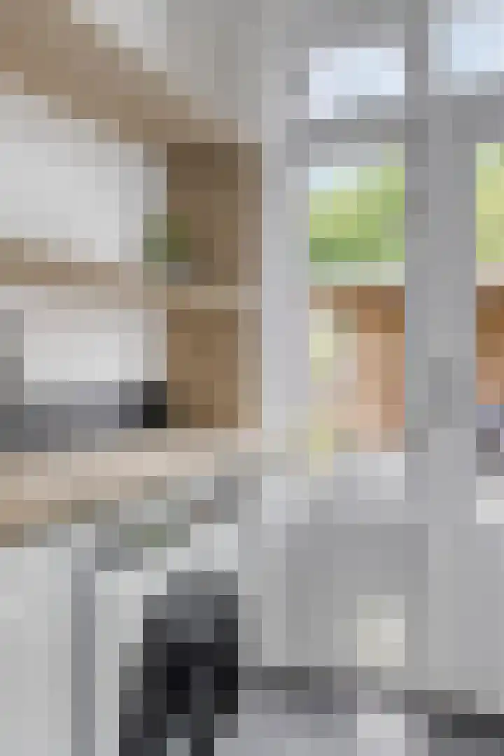 Rietvink 30 Wervershoof thumbnail 40