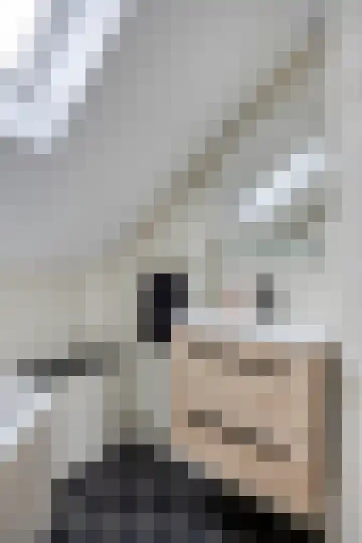 Rietvink 30 Wervershoof thumbnail 41