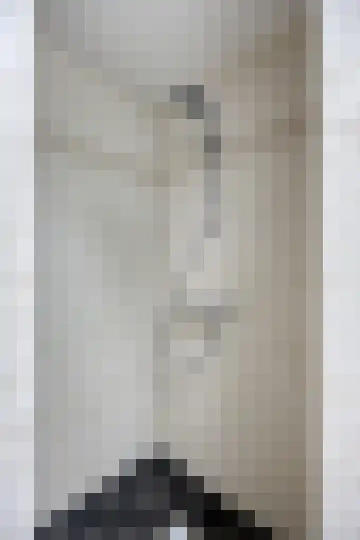 Rietvink 30 Wervershoof thumbnail 42