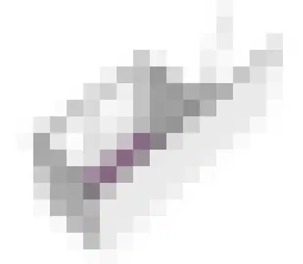 Rietvink 30 Wervershoof thumbnail 49