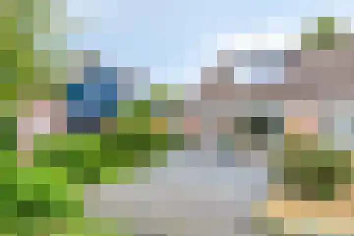 Rietvink 30 Wervershoof thumbnail 5