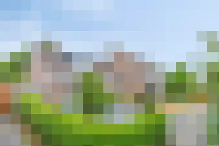 Rietvink 30 Wervershoof thumbnail 6