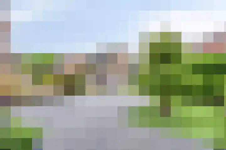 Rietvink 30 Wervershoof thumbnail 7