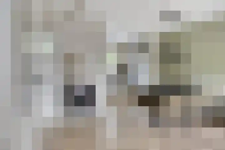 Rietvink 30 Wervershoof thumbnail 9