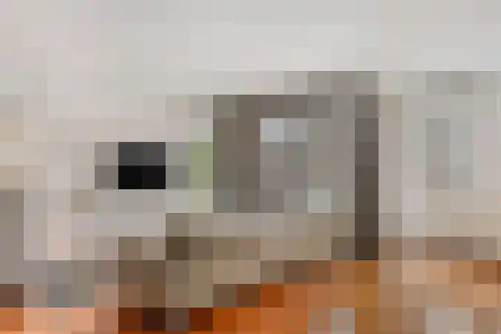 Rietvinkstraat 15 Eindhoven thumbnail 14