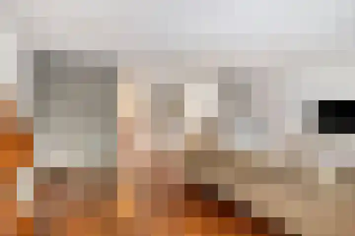 Rietvinkstraat 15 Eindhoven thumbnail 19