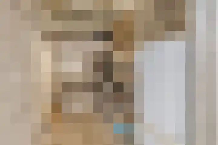 Rietvinkstraat 15 Eindhoven thumbnail 28