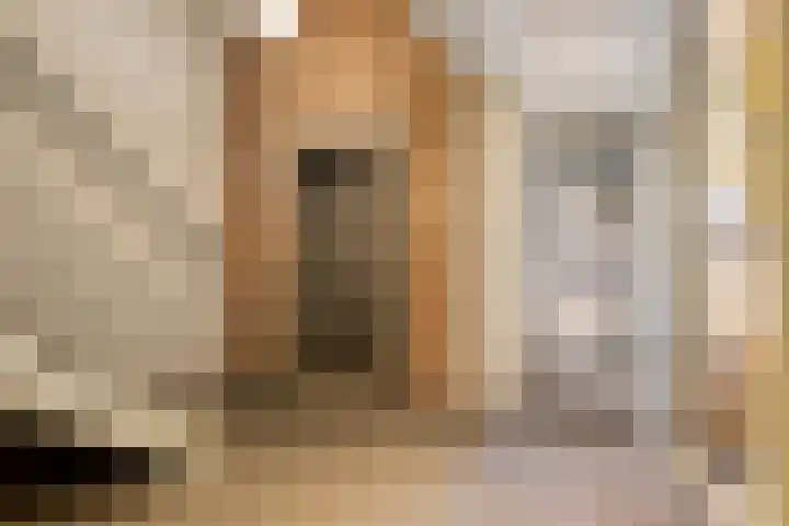 Rietvinkstraat 15 Eindhoven thumbnail 30