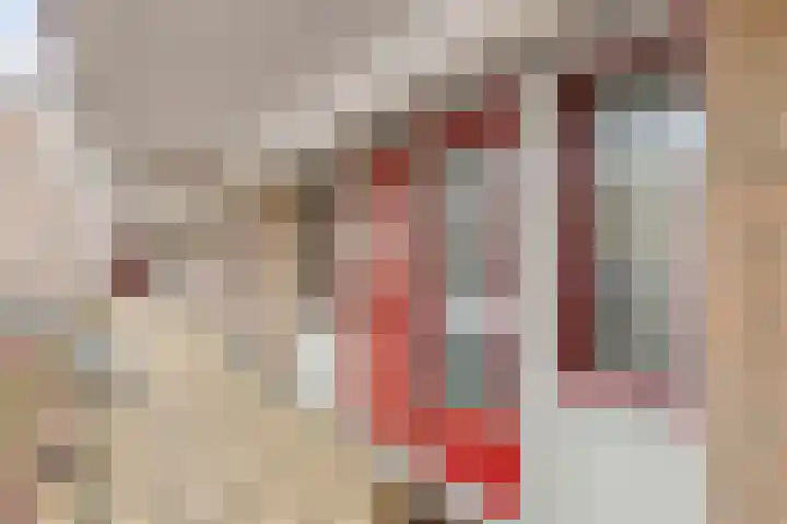 Rietvinkstraat 15 Eindhoven thumbnail 7