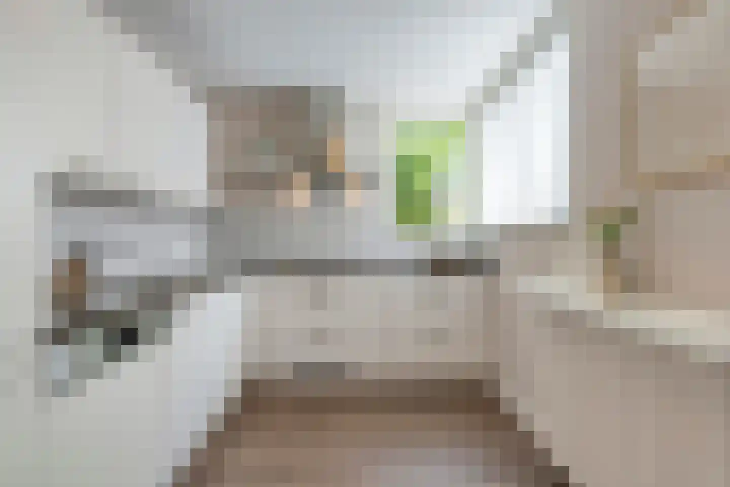 Rietvinkstraat 2 Eindhoven thumbnail 17