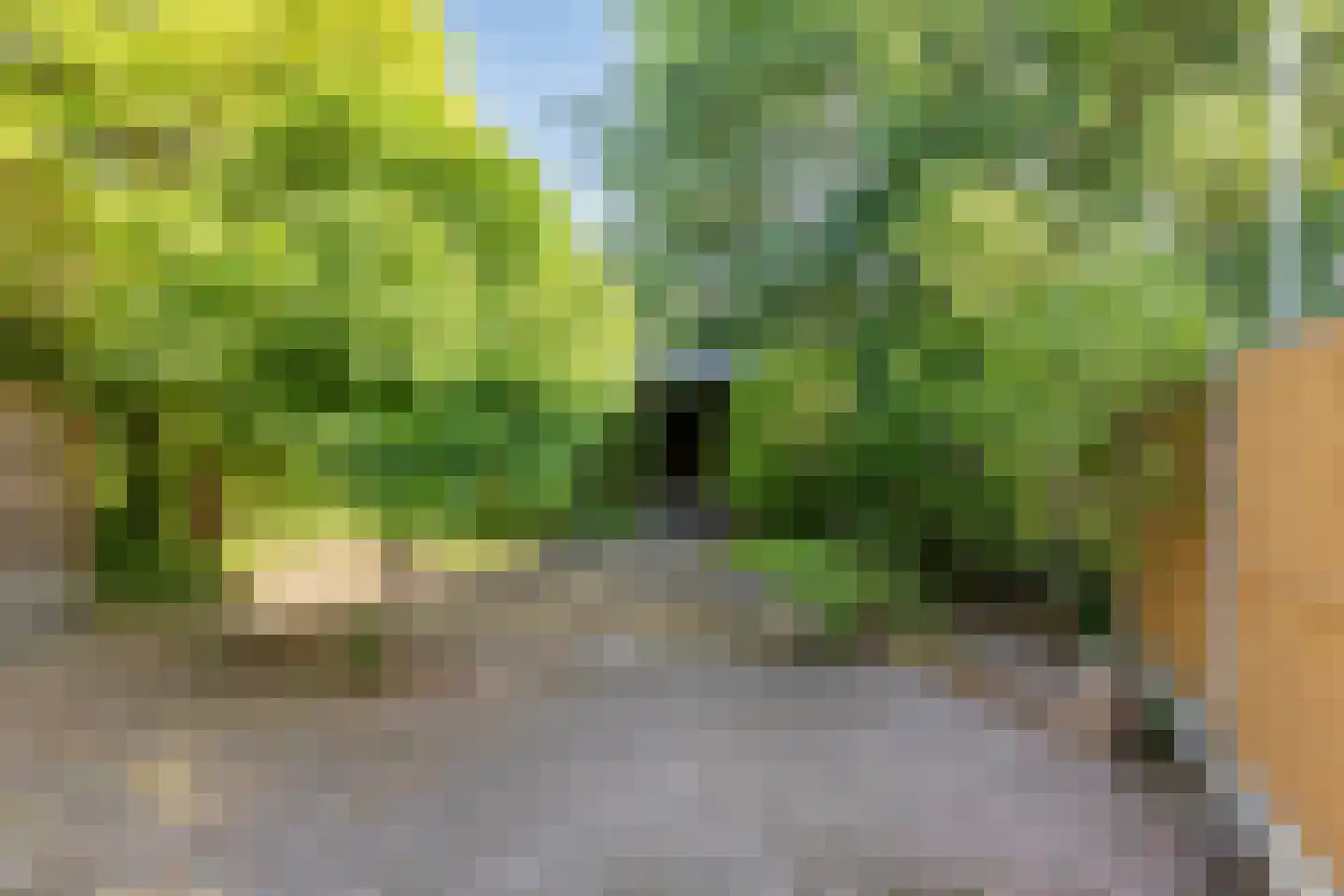 Rietvinkstraat 2 Eindhoven thumbnail 42
