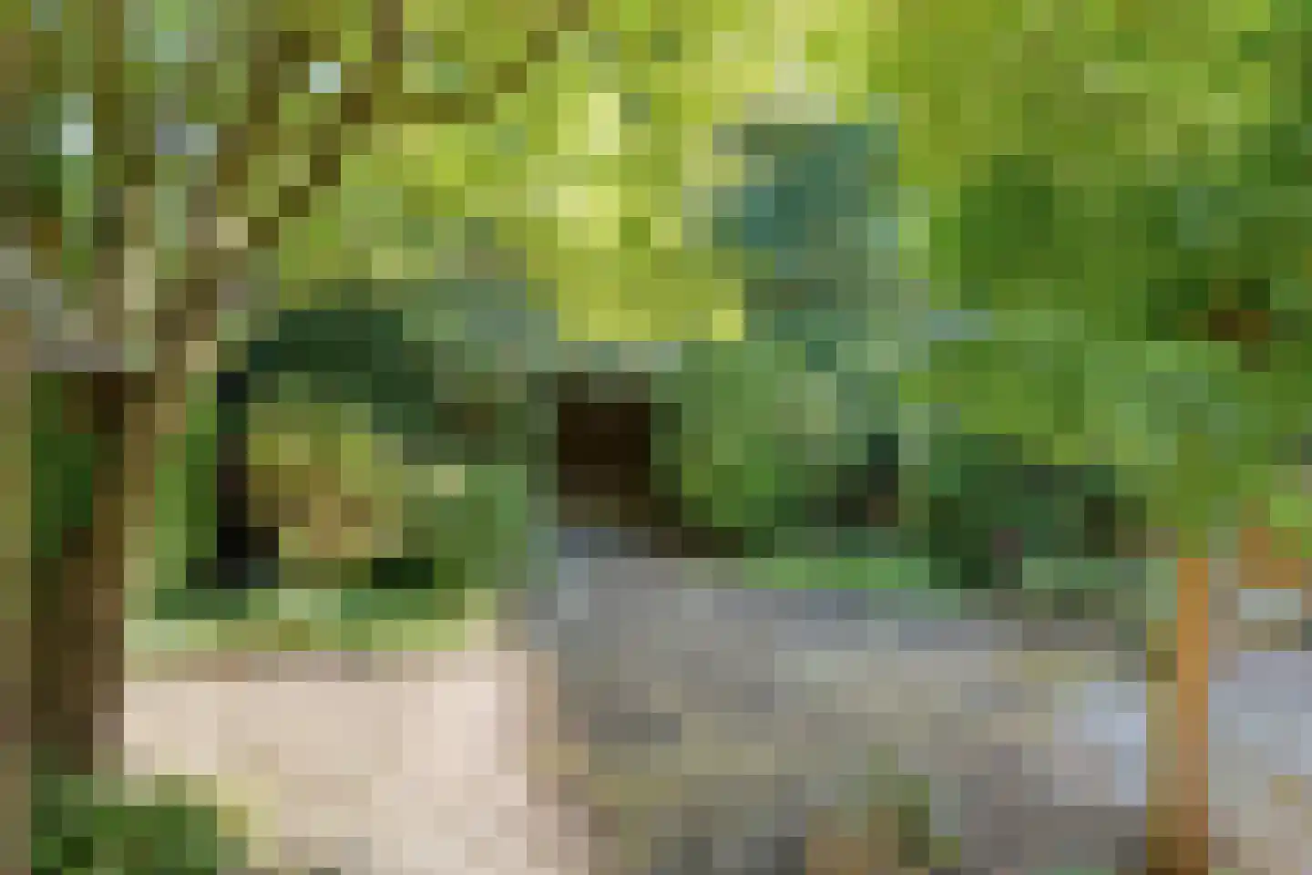 Rietvinkstraat 2 Eindhoven thumbnail 43