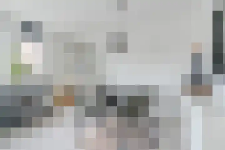 Rietvinkstraat 21 Eindhoven thumbnail 16