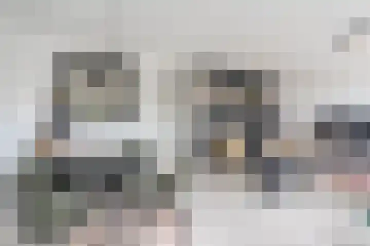 Rietvinkstraat 21 Eindhoven thumbnail 18