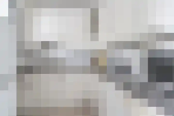 Rietvinkstraat 21 Eindhoven thumbnail 20