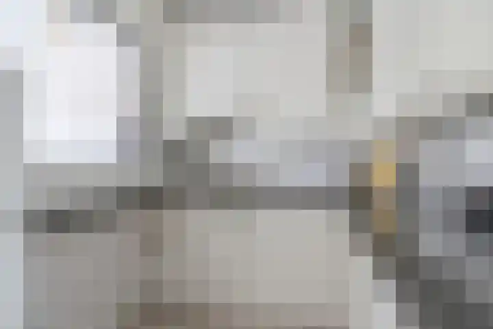 Rietvinkstraat 21 Eindhoven thumbnail 21