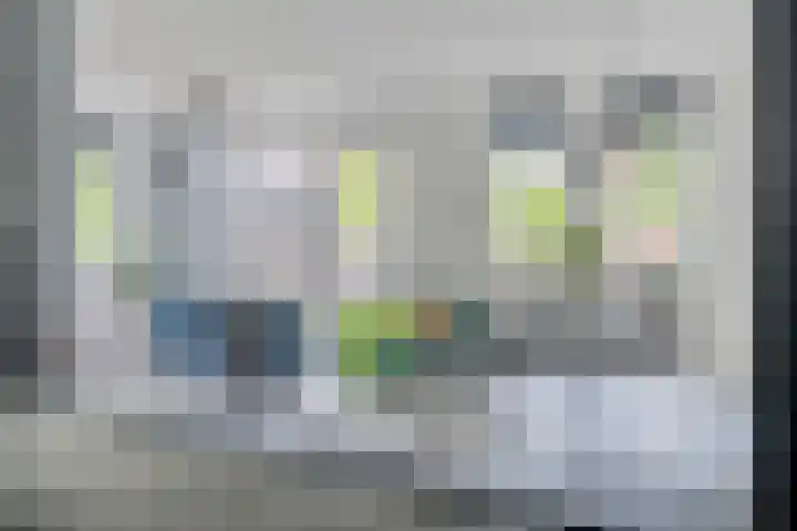 Rietvinkstraat 21 Eindhoven thumbnail 22