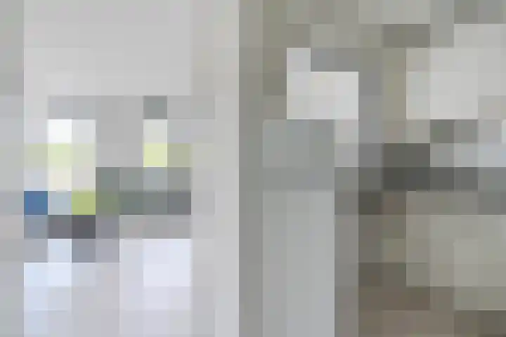 Rietvinkstraat 21 Eindhoven thumbnail 23