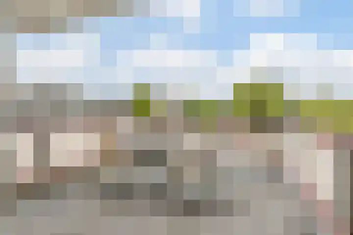 Rietvinkstraat 21 Eindhoven thumbnail 28