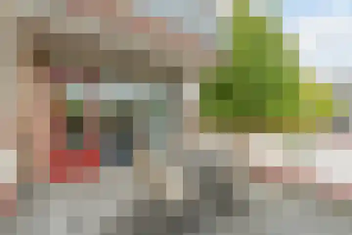 Rietvinkstraat 21 Eindhoven thumbnail 29