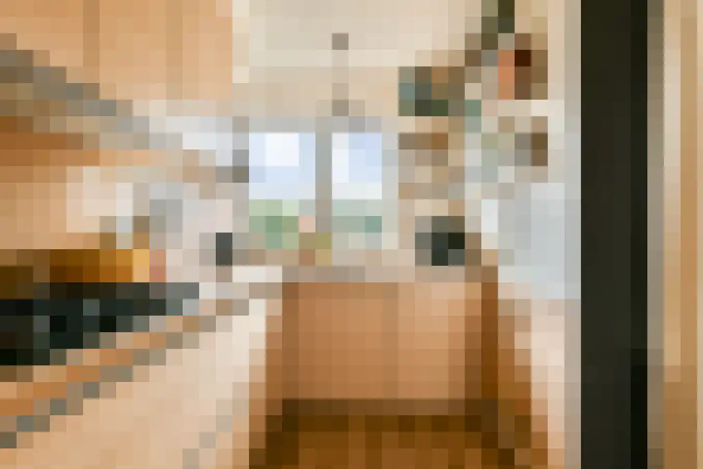 Rietvinkstraat 23 Badhoevedorp thumbnail 11