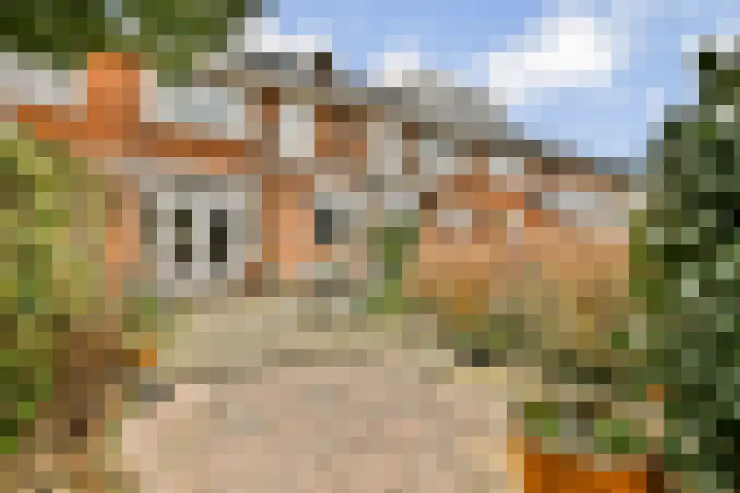 Rietvinkstraat 23 Badhoevedorp thumbnail 28