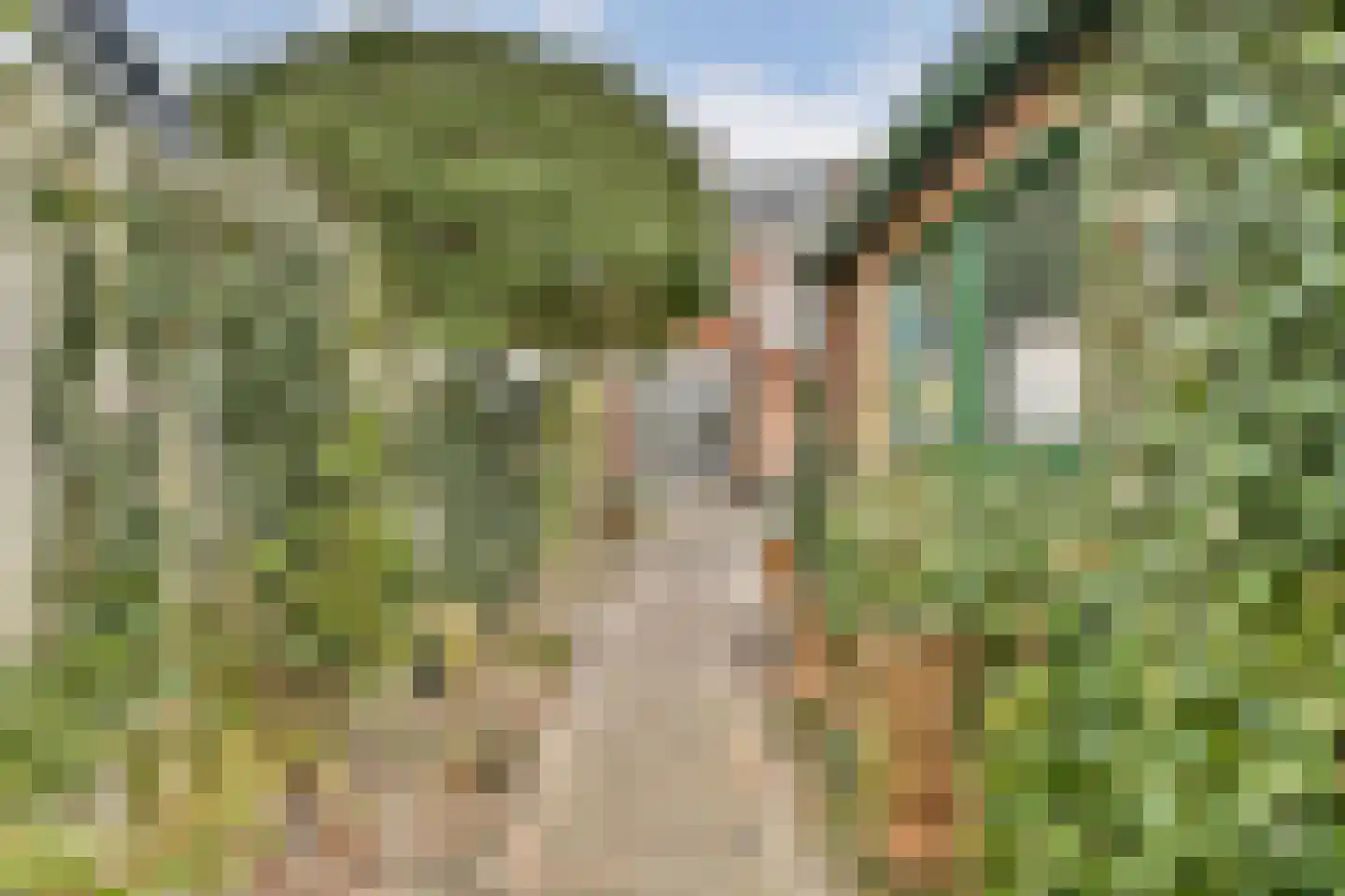 Rietvinkstraat 23 Badhoevedorp thumbnail 30