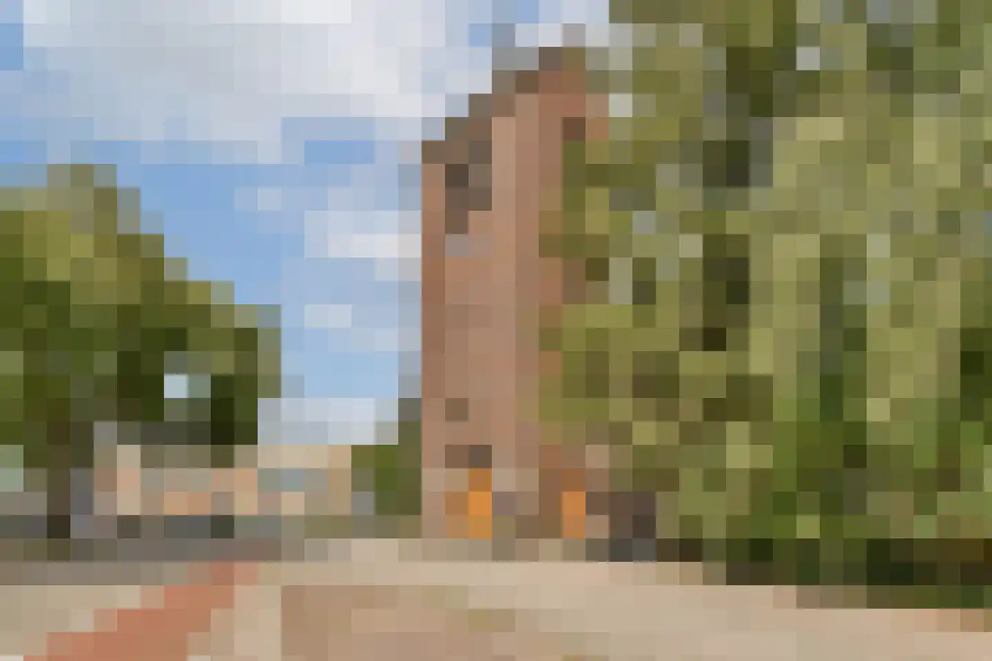 Rietvinkstraat 23 Badhoevedorp thumbnail 33