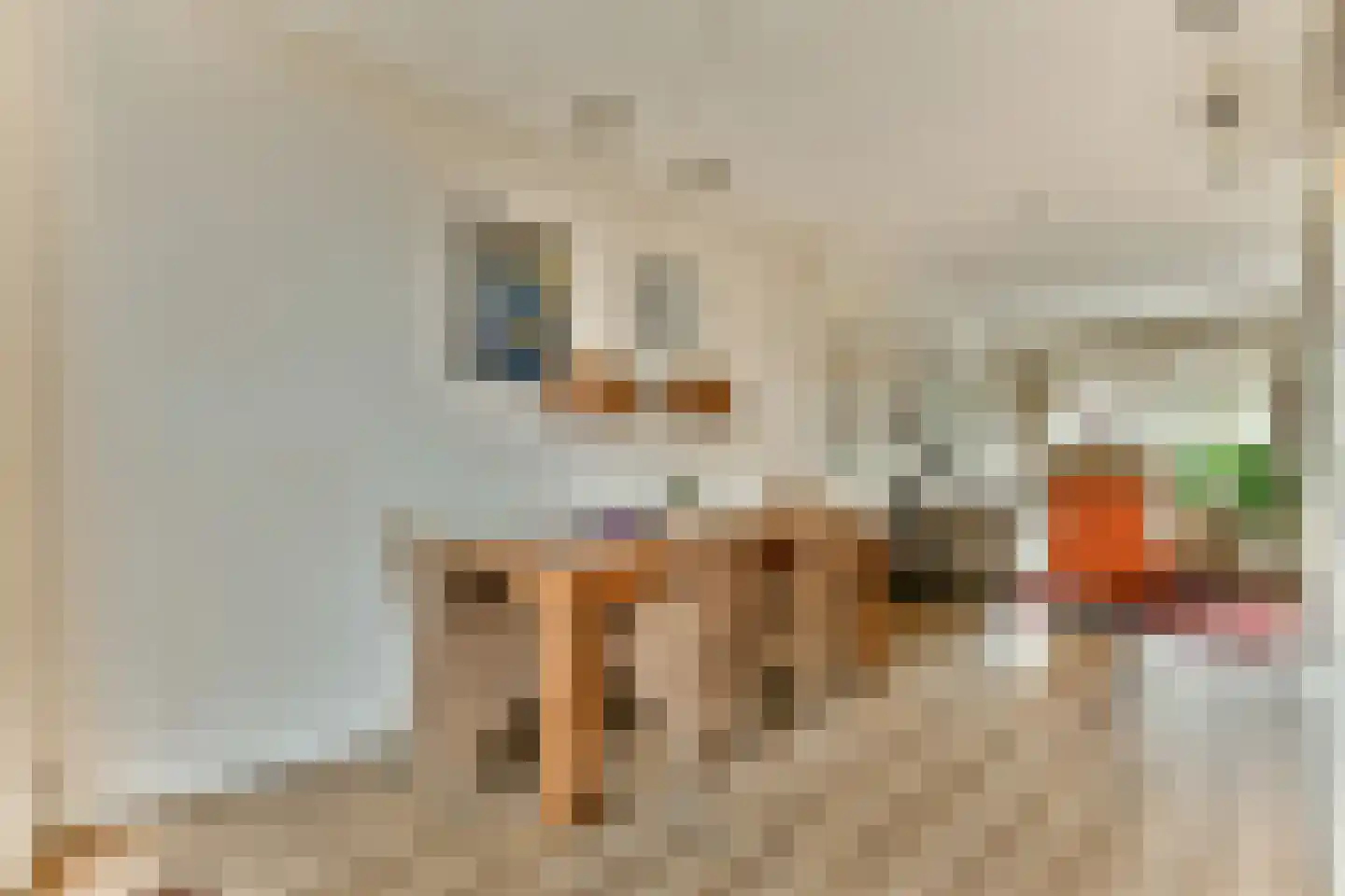 Rietvinkstraat 23 Badhoevedorp thumbnail 8