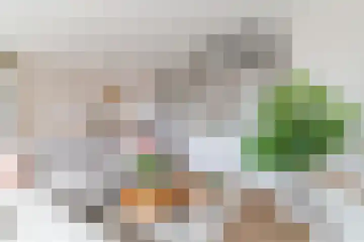 Rietvinkstraat 23 Eindhoven thumbnail 10