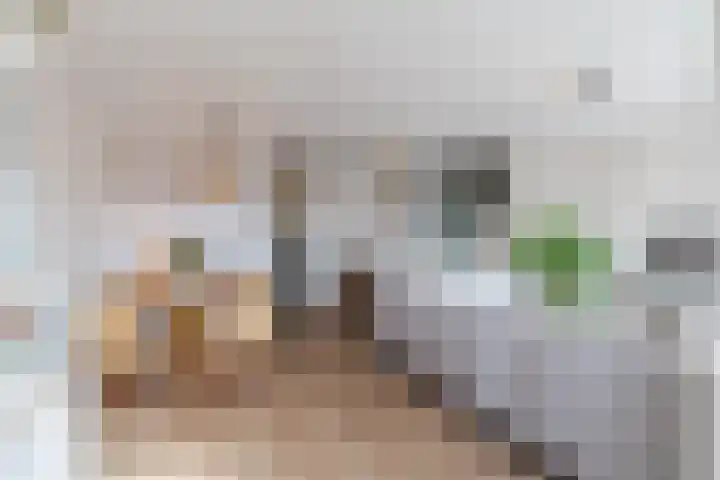 Rietvinkstraat 23 Eindhoven thumbnail 13