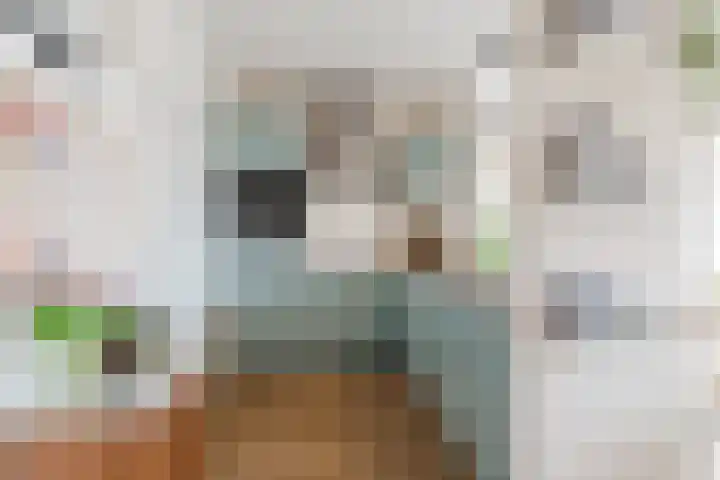 Rietvinkstraat 23 Eindhoven thumbnail 17