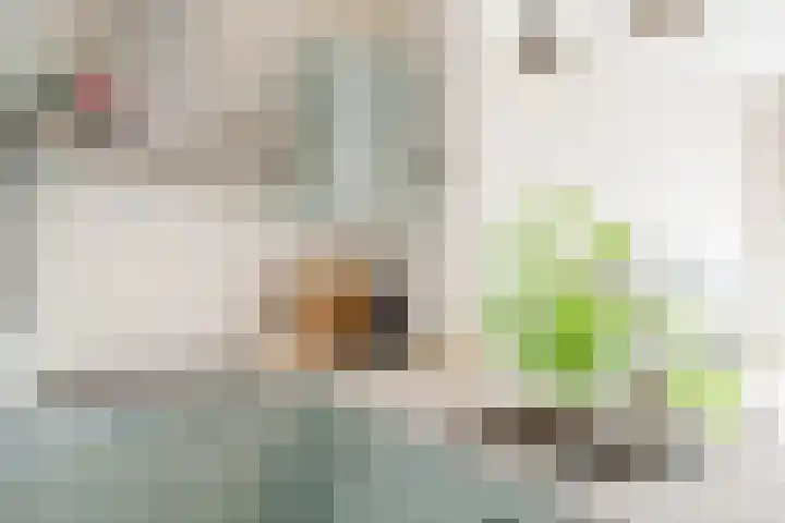 Rietvinkstraat 23 Eindhoven thumbnail 19