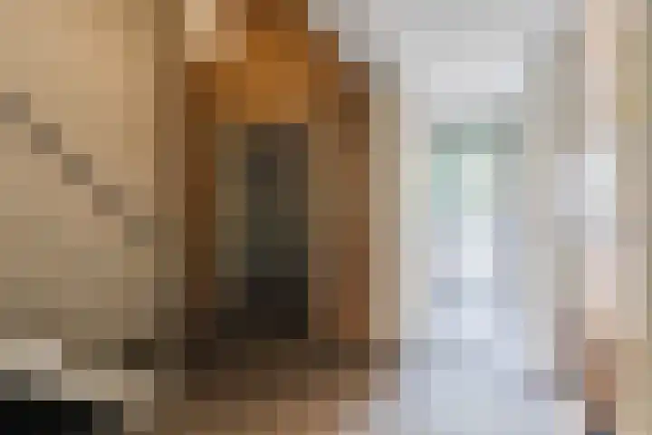 Rietvinkstraat 23 Eindhoven thumbnail 41