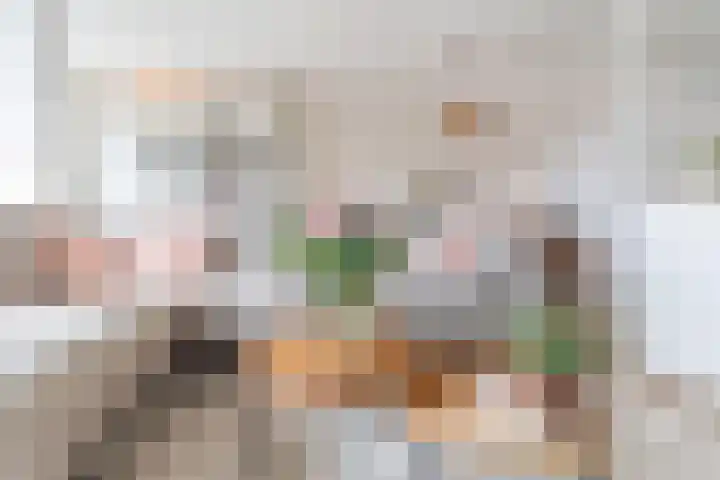Rietvinkstraat 23 Eindhoven thumbnail 5