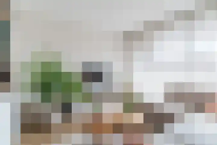 Rietvinkstraat 23 Eindhoven thumbnail 8