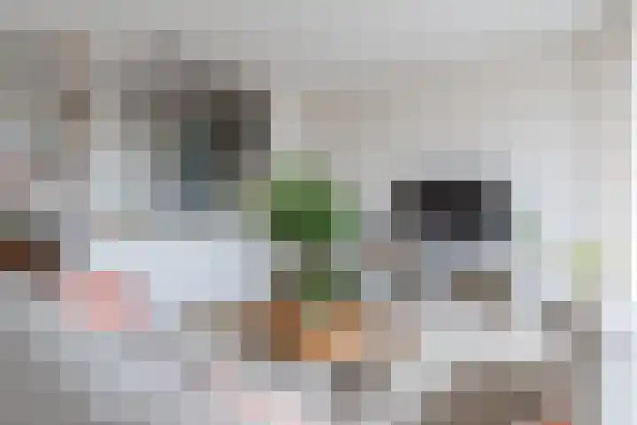 Rietvinkstraat 23 Eindhoven thumbnail 9
