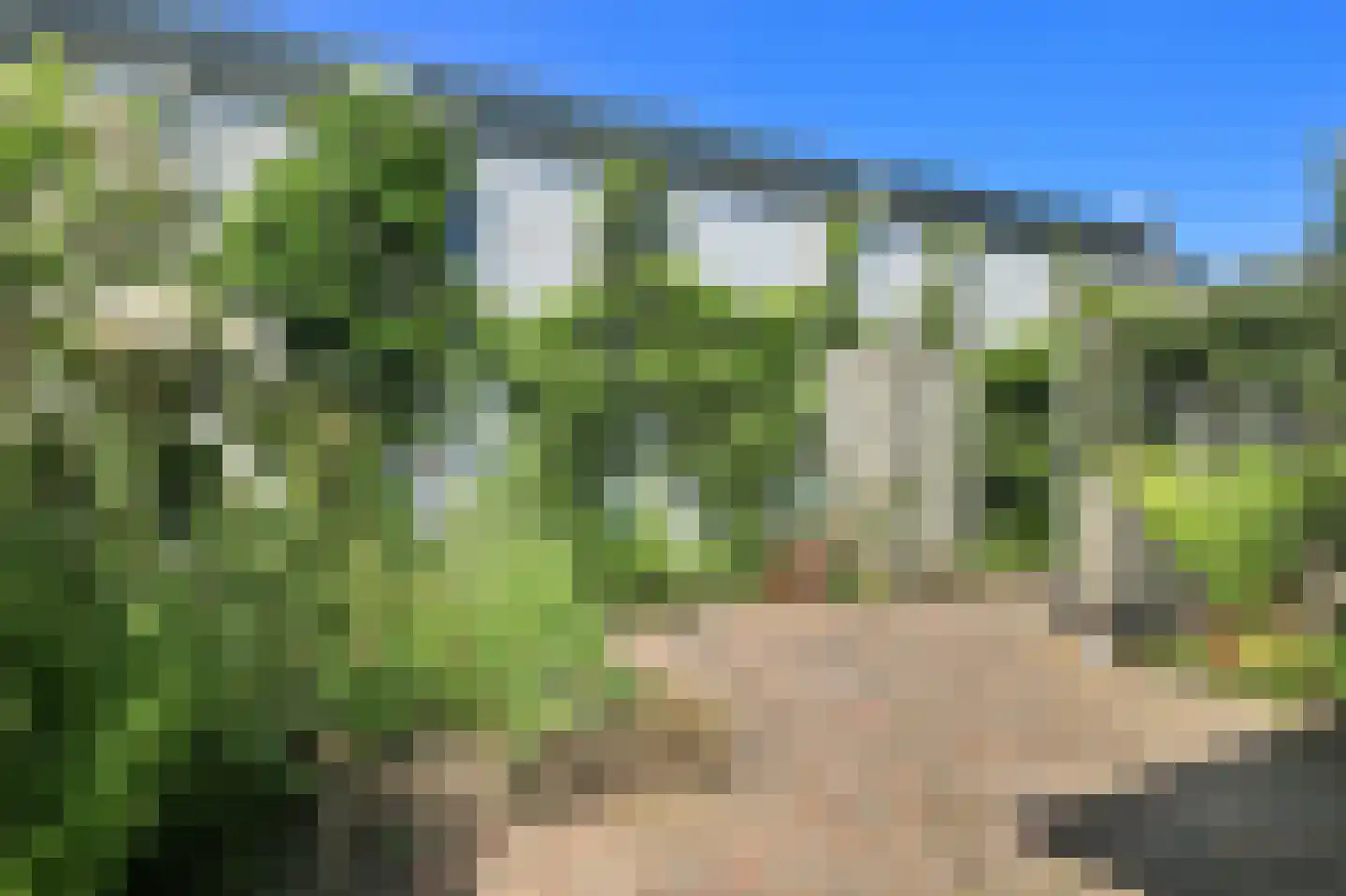 Rietvinkstraat 25 Badhoevedorp thumbnail 29