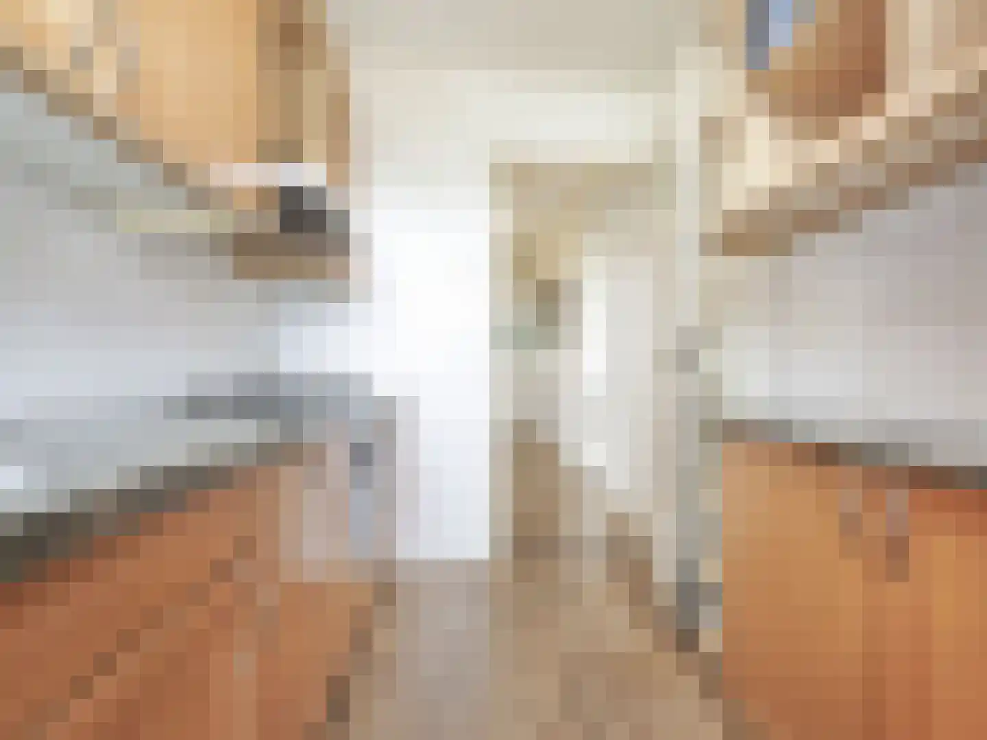 Rietvinkstraat 25 Badhoevedorp thumbnail 32