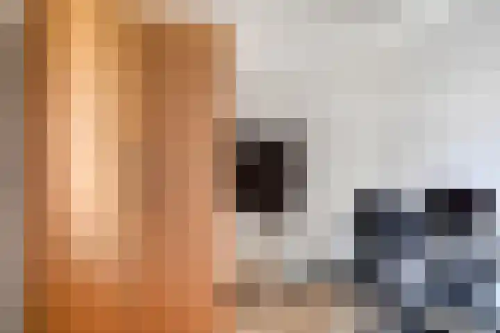 Rietvinkstraat 29 Eindhoven thumbnail 20