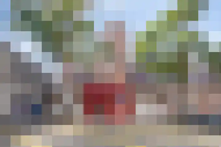 Rietvinkstraat 29 Eindhoven thumbnail 4