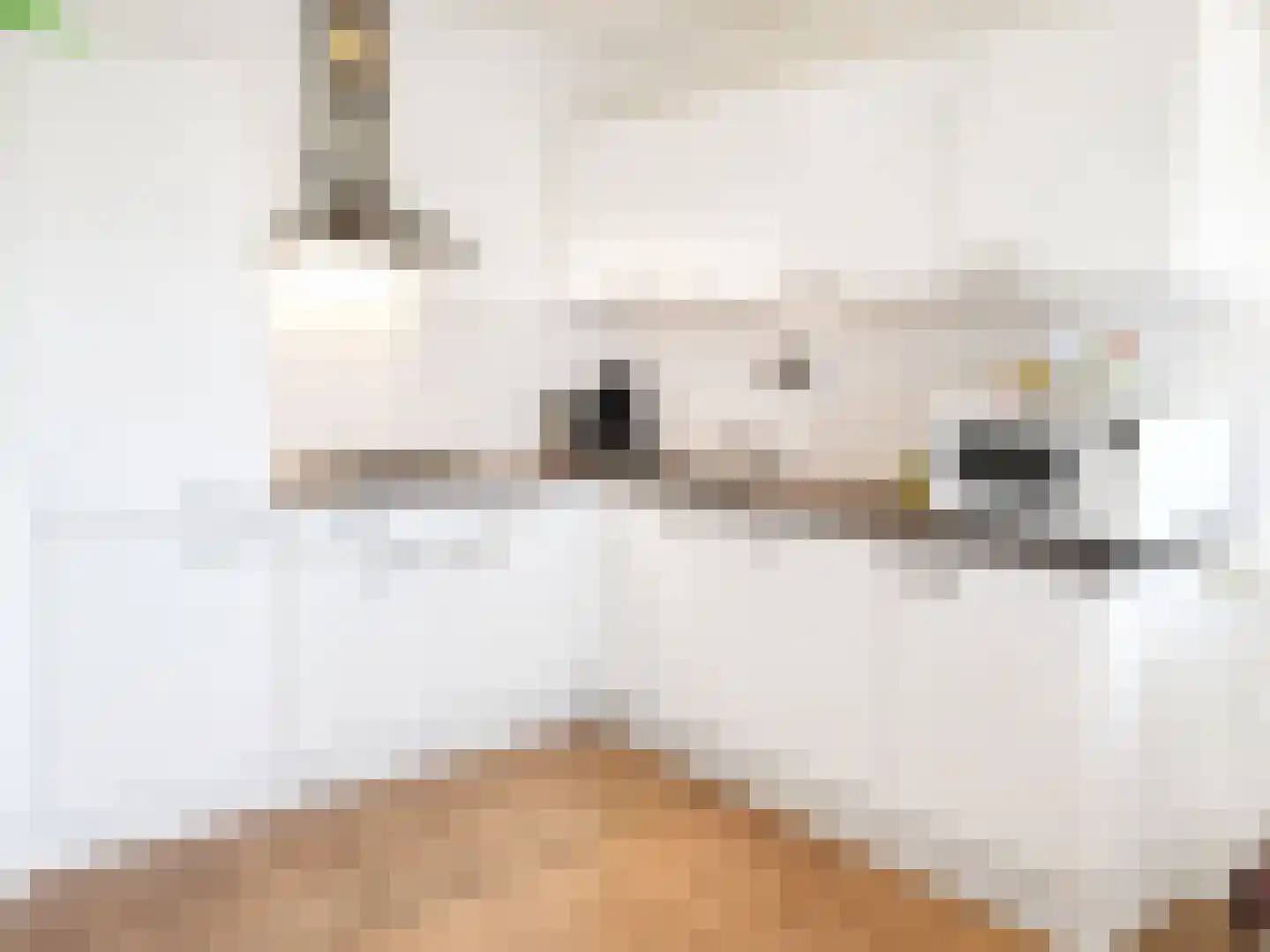 Rietvinkstraat 53 Eindhoven thumbnail 8