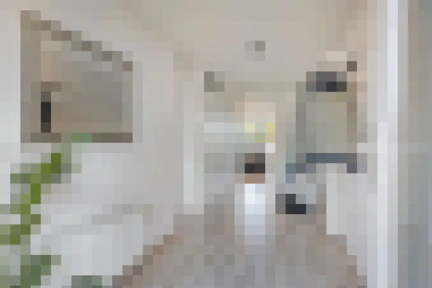 Rietvoorn 10 Amersfoort thumbnail 10