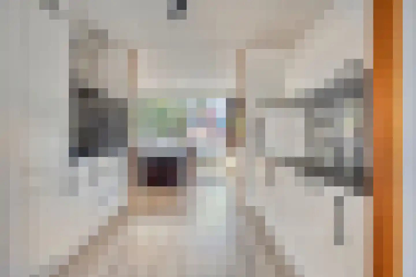 Rietvoorn 10 Amersfoort thumbnail 18