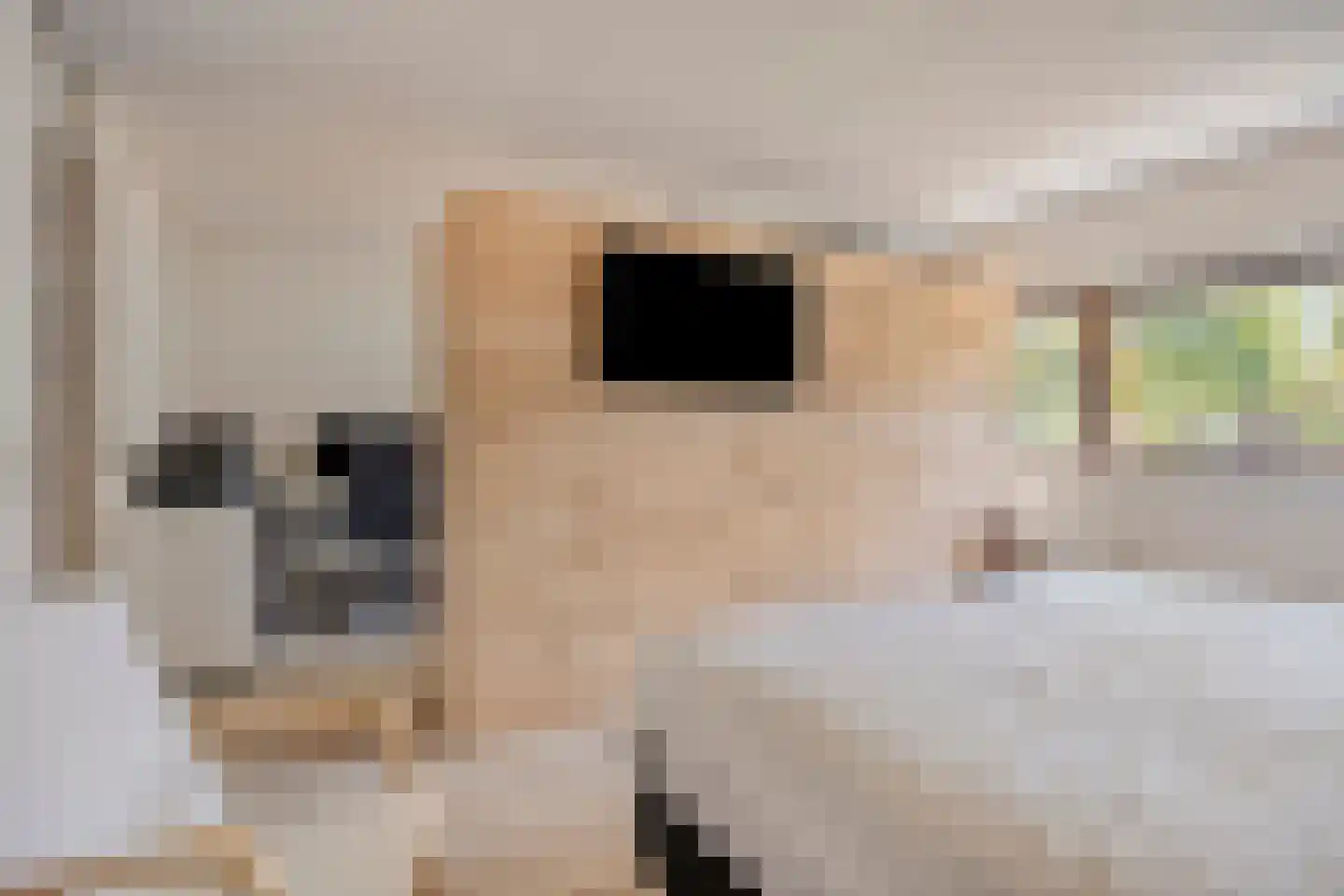 Rietvoorn 10 Amersfoort thumbnail 24