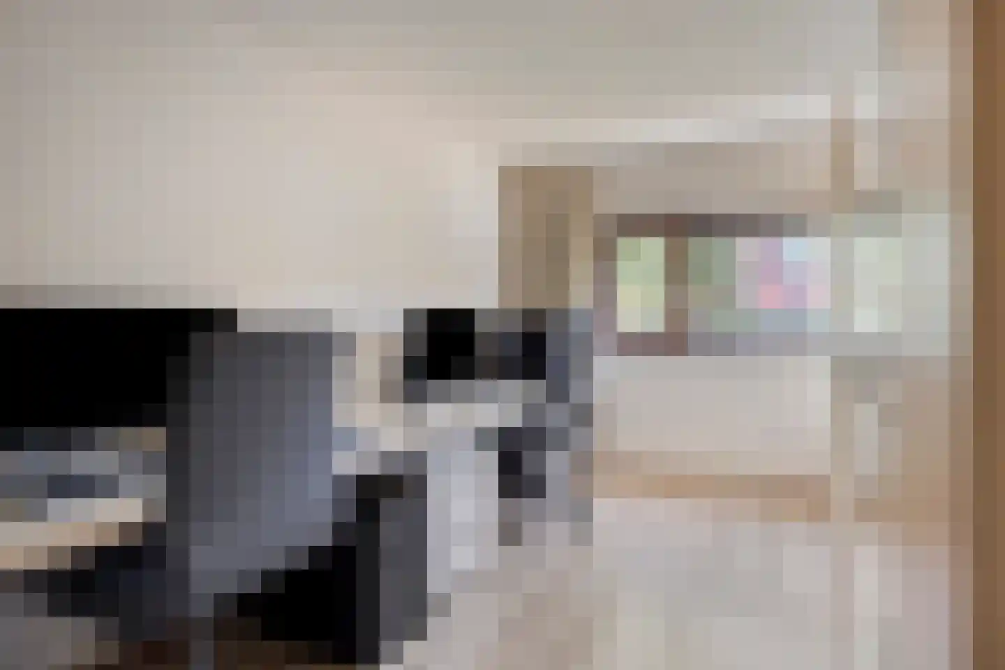 Rietvoorn 10 Amersfoort thumbnail 25