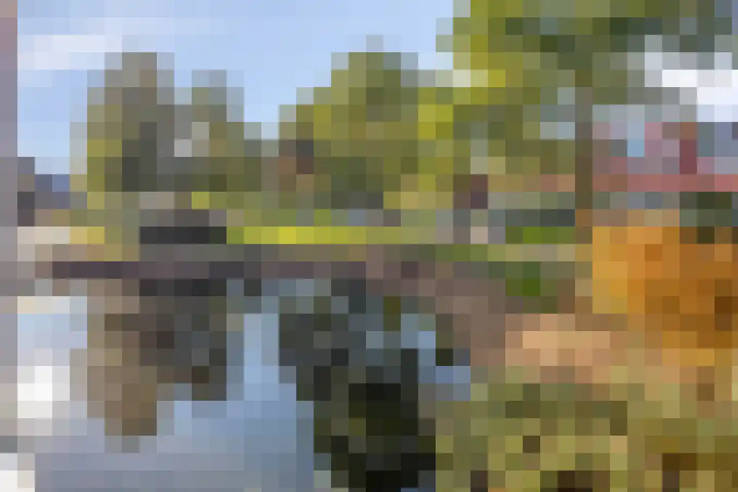 Rietvoorn 10 Amersfoort thumbnail 32