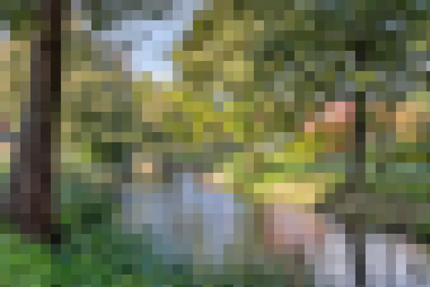 Rietvoorn 10 Amersfoort thumbnail 33